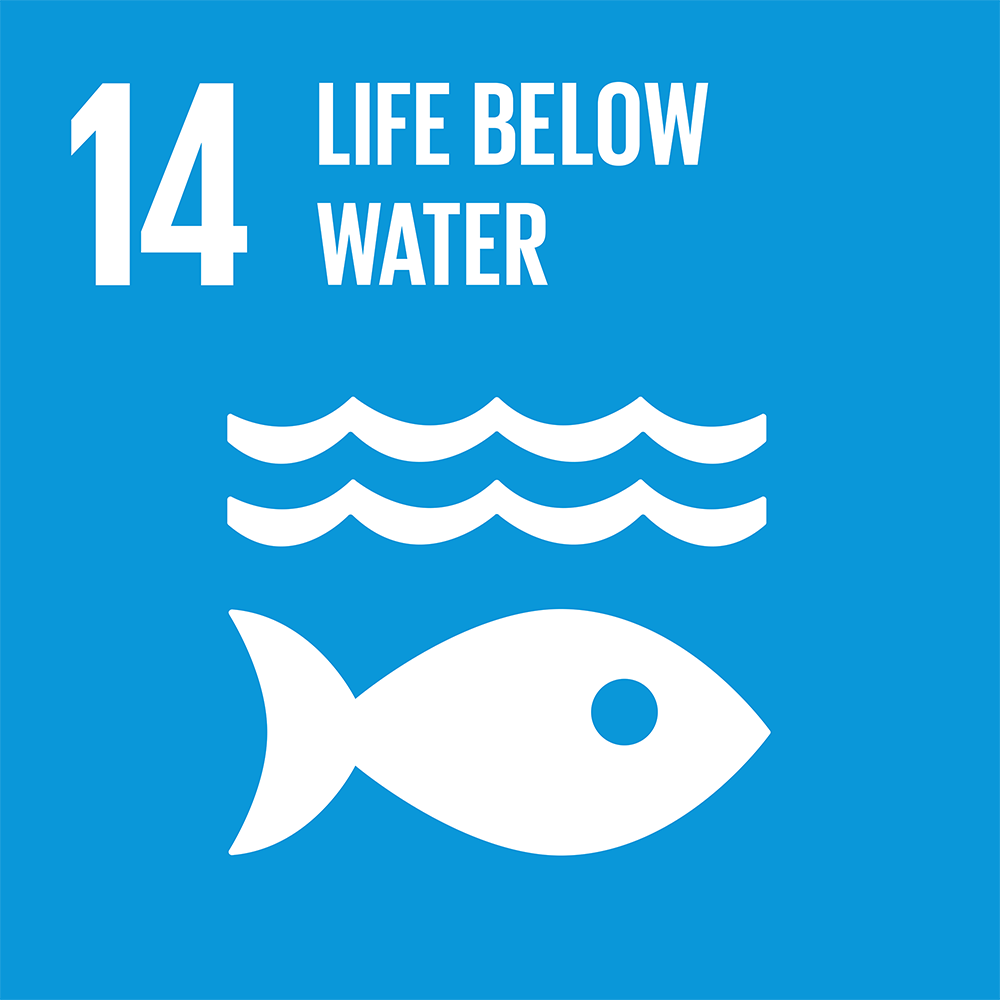SDG 08 促進持久、包容和永續經濟增長，促進充分的生產性就業和人人獲得適當工作。